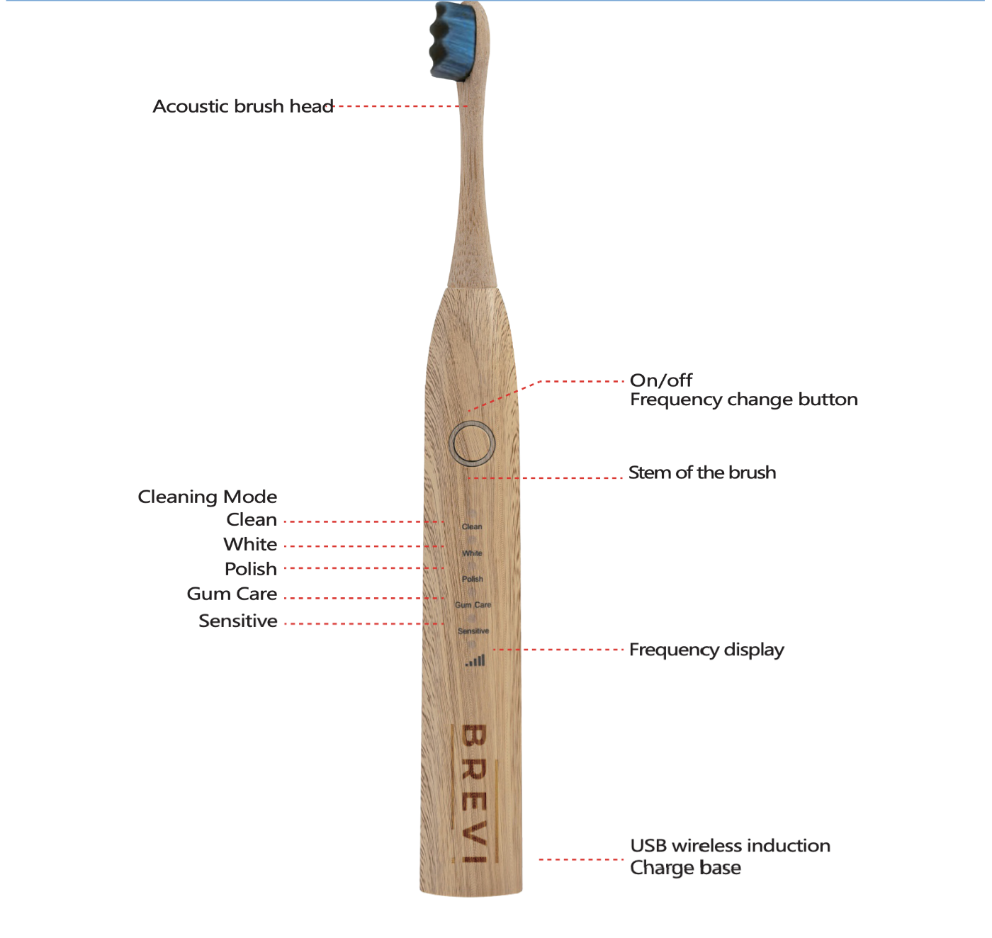 Cleaning Mode Instruction 